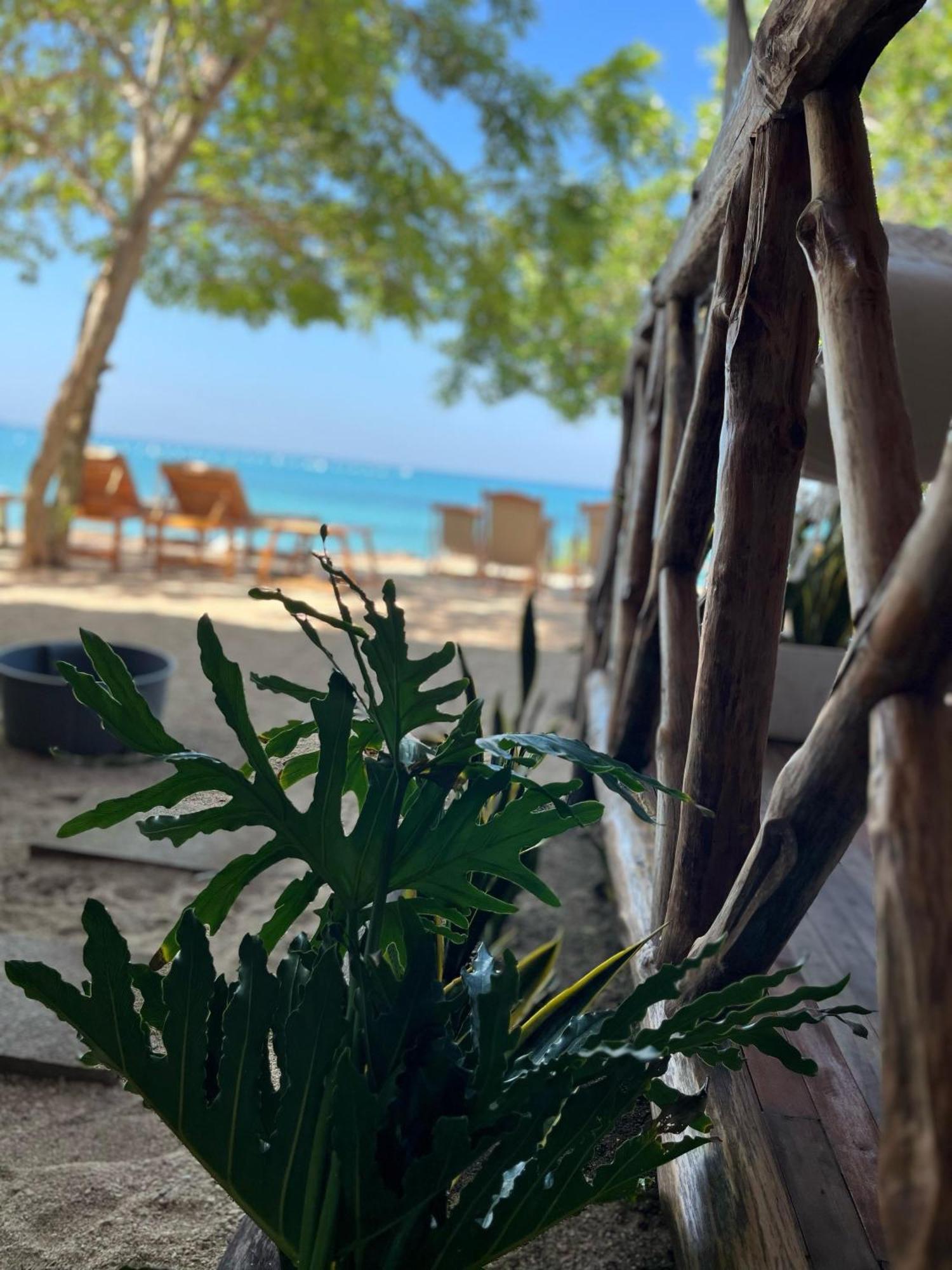 Thani Ecobeach Baru プラヤ・ブランカ エクステリア 写真
